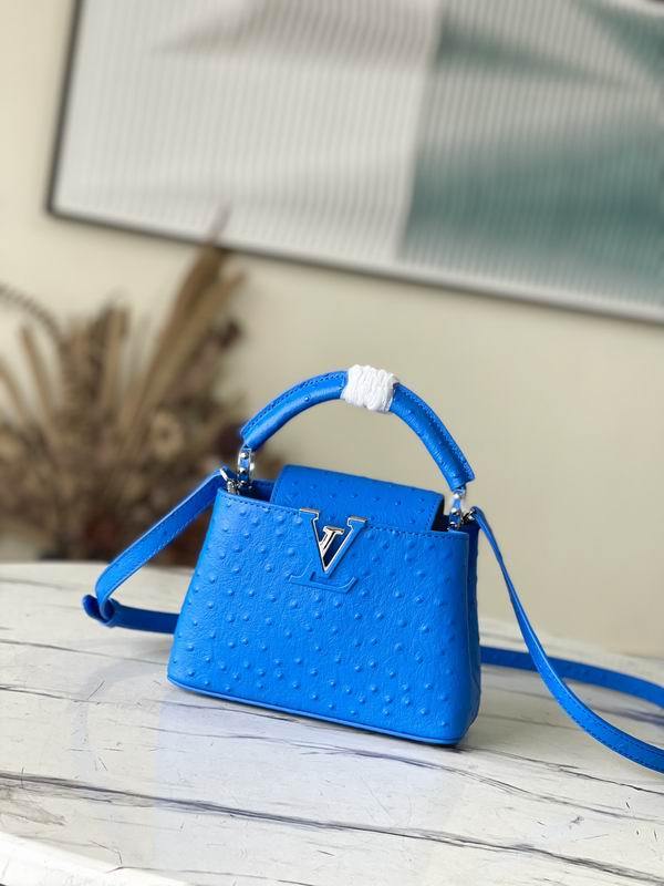 LV Handbags 252